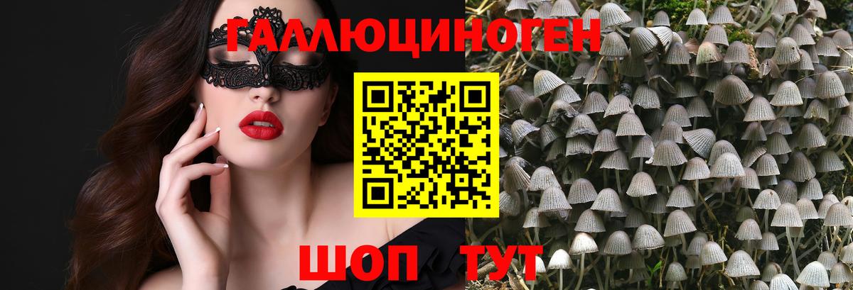 Галлюциногенные грибы Psilocybe  наркотики  Великий Устюг  Вход с VPN 